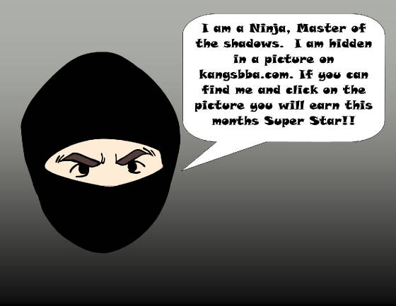 webassets/ninja2.jpg